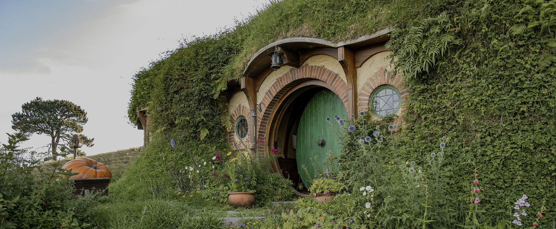 3 Razões para trabalhar e viajar na Nova Zelândia (2)